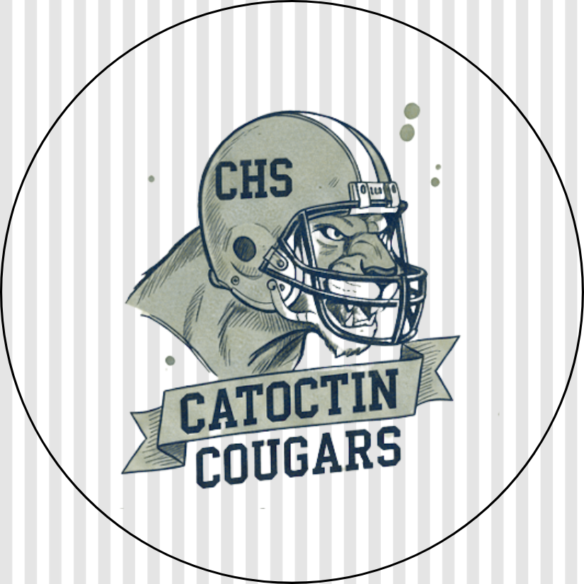 The Cougar Helmet Pin