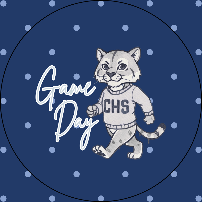 The Gameday Cub Pin